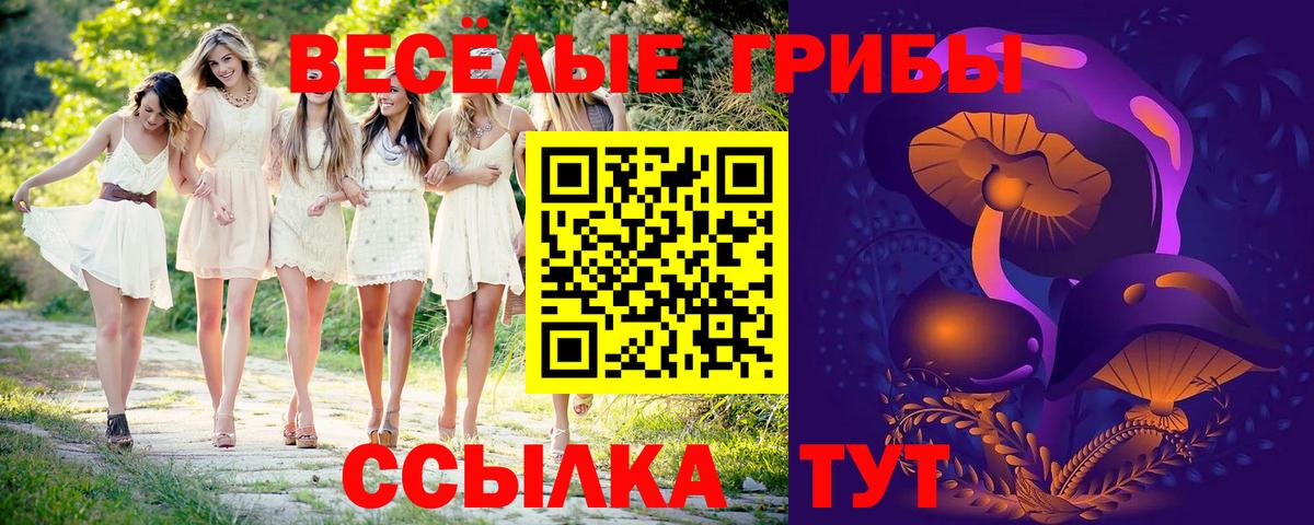 Канск  Галлюциногенные грибы Magic Shrooms  Вход с VPN 