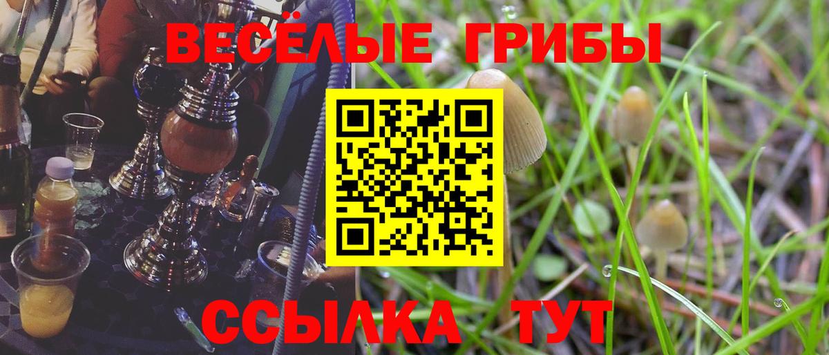 Галлюциногенные грибы GOLDEN TEACHER Канск