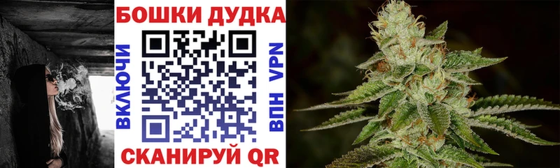 Канабис SATIVA & INDICA  Канск 